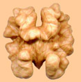 Walnuts of Chile